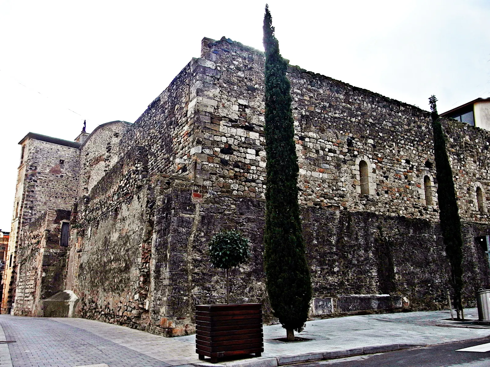 Castell de la Selva del Camp